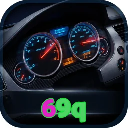 69q