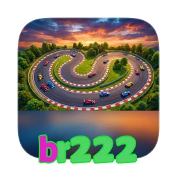 br222